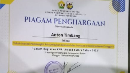 Piagam penghargaan KNPI Award 